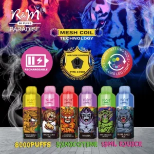 RandM Paradise 8K disposable vape