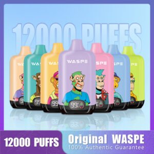 Waspe Digital Box 12K disposable vape