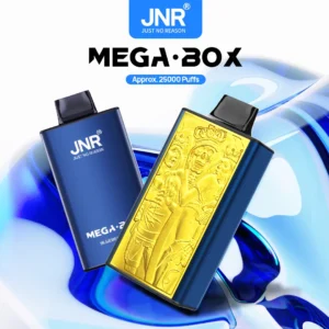JNR Mega Box 25K disposable vape