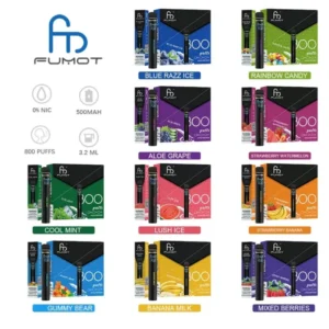 RandM Plus 800 disposable vape